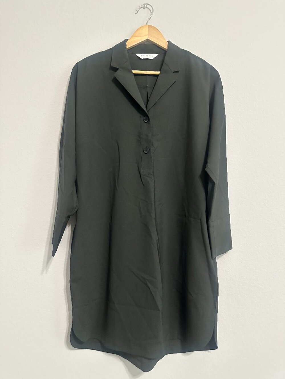Everlane The Artist Smock Shirt Dress